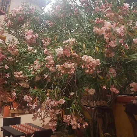 Le Relais Des Dentelles * Beaumes-de-Venise